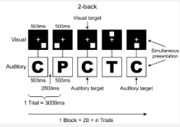 <p>recruited non-ADHD participants to assess whether transfer effects for reasoning could result from WM tasks</p><ul><li><p>experimental group received 8-19 sessions of training on the dual n-back task (have to keep track of what item appeared 2 items ago with both auditory + visual information</p></li><li><p>control group was passive (no intervention → could be possible drawback)</p></li><li><p>posttest assessed performance on dual n-back + Raven’s task</p></li></ul><p></p>