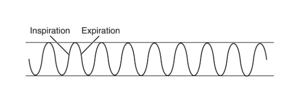 <p> </p>