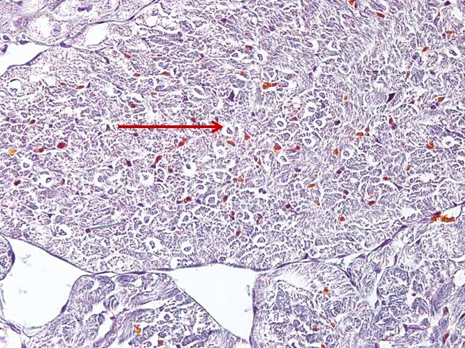 <p>Cấu trúc gì ?</p>