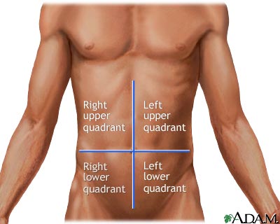<p>Right Upper Quadrant- RUQ</p><p>Left Upper Quadrant- LUQ</p><p>Right Lower Quadrant- RLQ</p><p>Left Lower Quadrant- LLQ</p>