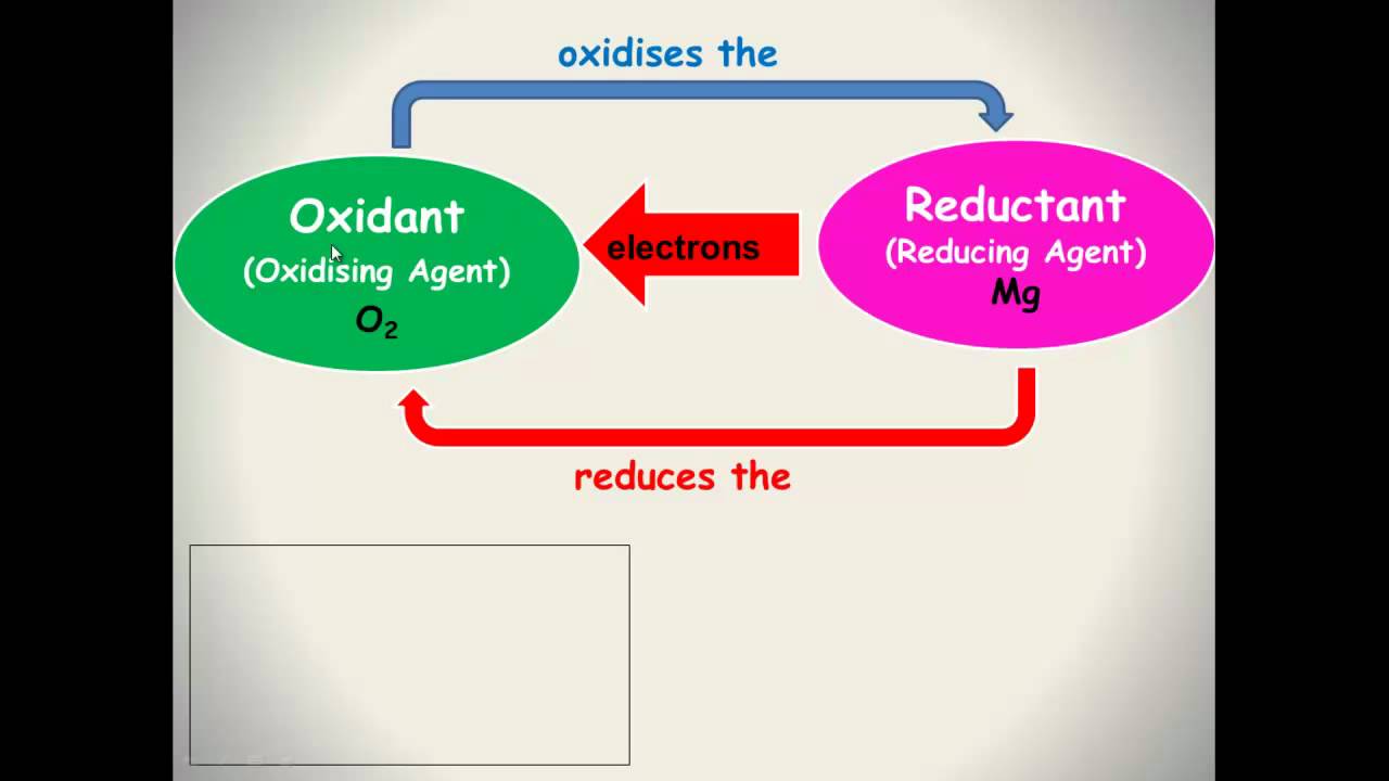 <p>Reductant (n)</p><p>/rɪˈdʌktənt/</p>