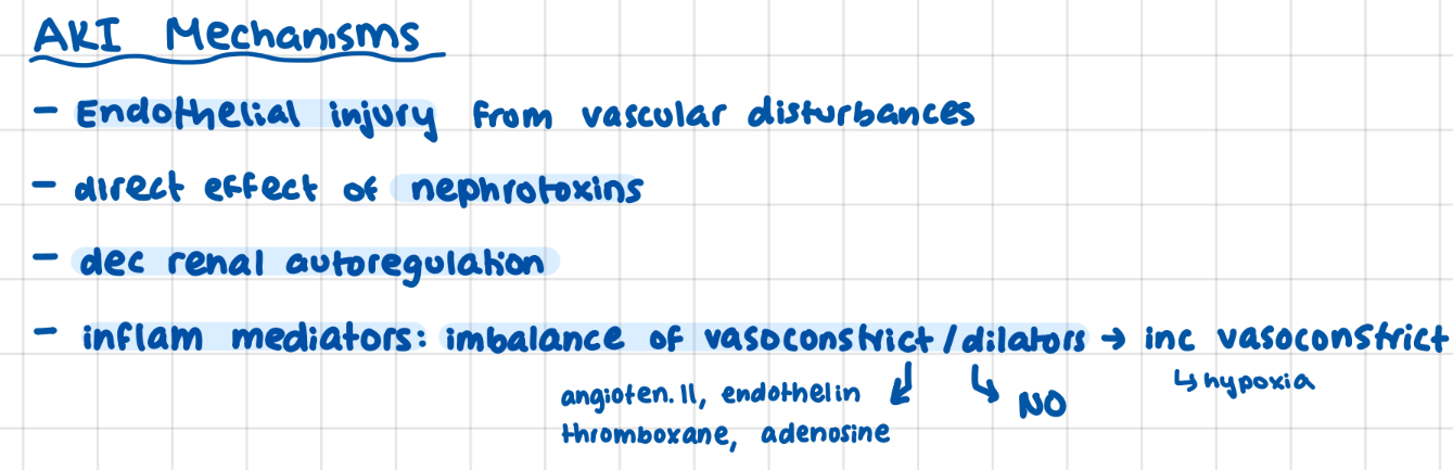 <p>endothelial injury (from vascular disturbances)</p><p>nephrotoxins</p><p>dec autoregulation</p><p>inflammatory mediators (imbalance → inc vasoconstriction)</p>