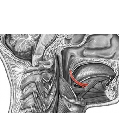 <p>what does this show</p>