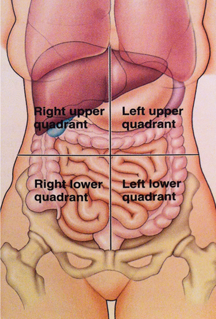 <p>The 4 Quadrants: </p>