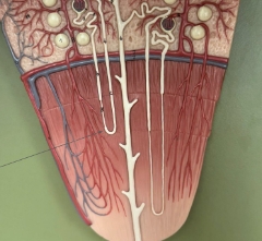 <p>name the parts</p>