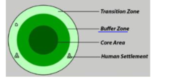 <p>About half of the protected areas have been reasonably effective at protecting biodiversity but the other half are experiencing species</p><p>declines.</p>
