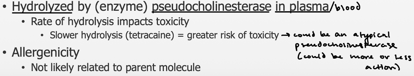 <p>Hydrolyzed by pseudocholinesterase in plasma/blood. Toxicity.</p>
