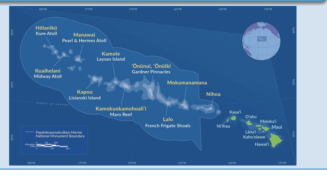 <ul><li><p><span style="background-color: inherit; line-height: 19.55px; color: windowtext;">At risk species that use these waters</span><span style="line-height: 19.55px; color: windowtext;"> </span></p></li><li><p><span style="background-color: inherit; line-height: 19.55px; color: windowtext;">Critically endangered species that live in water above</span><span style="line-height: 19.55px; color: windowtext;"> </span></p></li><li><p class="Paragraph SCXO88751451 BCX0" style="text-align: left;"><span style="background-color: inherit; line-height: 19.55px; color: windowtext;">Now protected with conservation actions</span><span style="line-height: 19.55px; color: windowtext;"> </span></p></li><li><p class="Paragraph SCXO88751451 BCX0" style="text-align: left;"><span style="background-color: inherit; line-height: 19.55px; color: windowtext;">All protected species</span><span style="line-height: 19.55px; color: windowtext;"> </span></p><ul><li><p class="Paragraph SCXO88751451 BCX0" style="text-align: left;"><span style="background-color: inherit; line-height: 19.55px; color: windowtext;">Where human activity is minimized</span><span style="line-height: 19.55px; color: windowtext;"> </span></p><ul><li><p class="Paragraph SCXO88751451 BCX0" style="text-align: left;"><span style="background-color: inherit; line-height: 19.55px; color: windowtext;">Fishing (fishing nets (bicatch))</span><span style="line-height: 19.55px; color: windowtext;"> </span></p></li></ul></li></ul></li></ul><p></p>