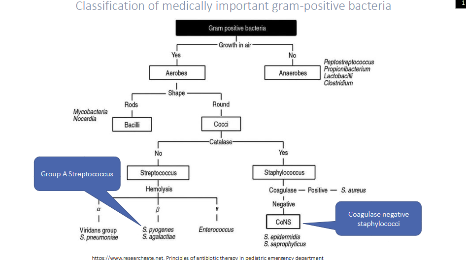 <p>DIAGRAM ON SLIDE 6</p>
