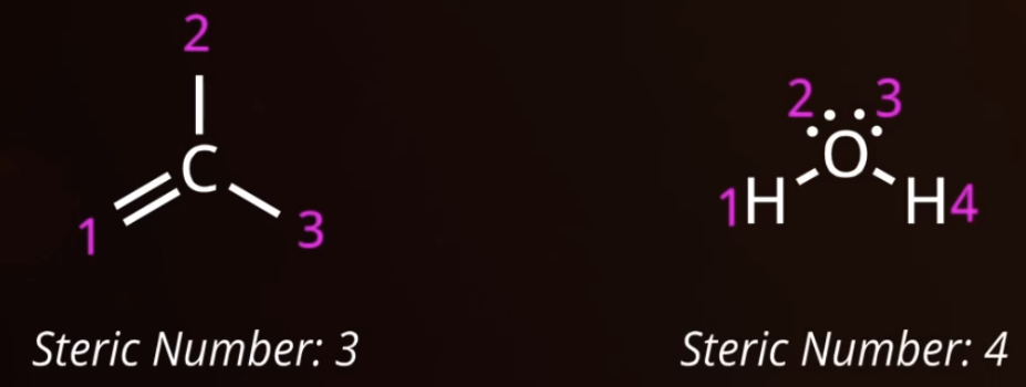 <p><span style="background-color: transparent;">a lone pair or bond (single, double, triple = one domain). Number of domains = <strong>steric number</strong>.</span></p>
