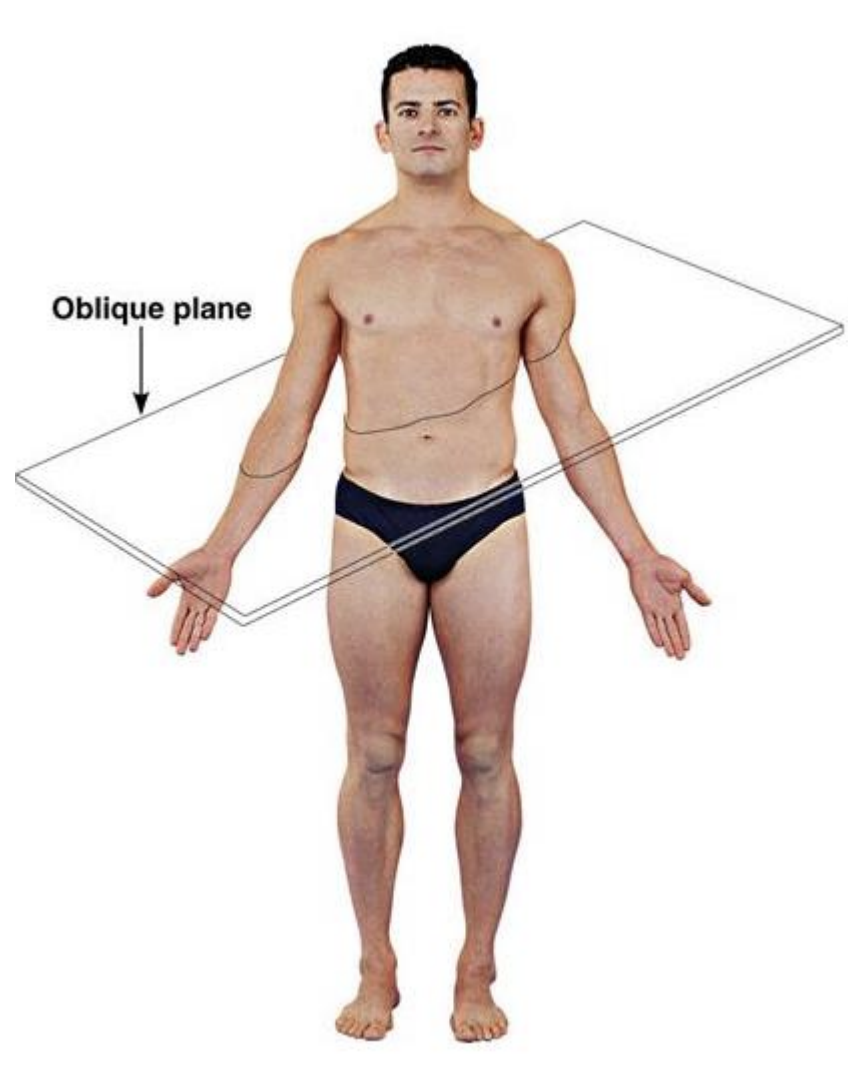 <p>A less standardised plane, is taken at an angle; useful for examining structures that are difficult to examine using only three primary planes of section</p>