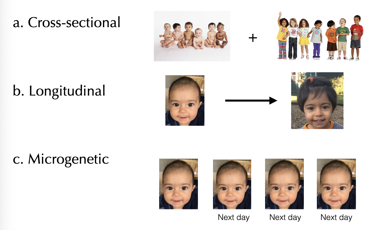 <p>cross sectional, longitudinal, and microgenetic</p>