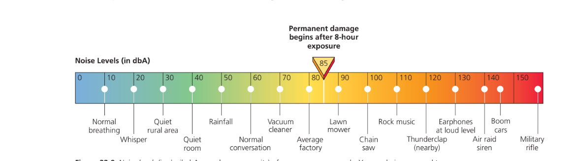 <p>Any unwanted, disturbing, or harmful sound that impairs or interferes with hearing, causes stress, hampers concentration and work efficiency, or causes accidents.</p><p></p>