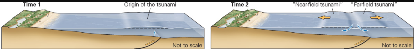 <p><span>Reverse fault</span></p>