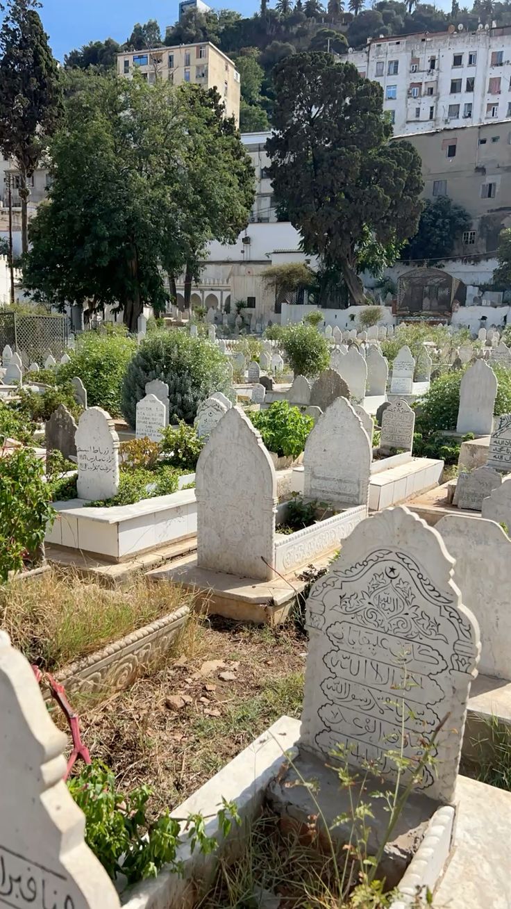 <p>Cemetery </p>