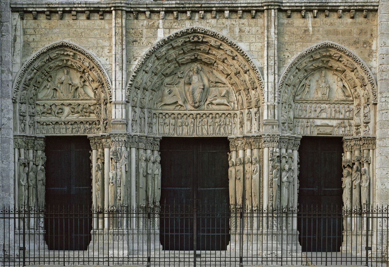 term image