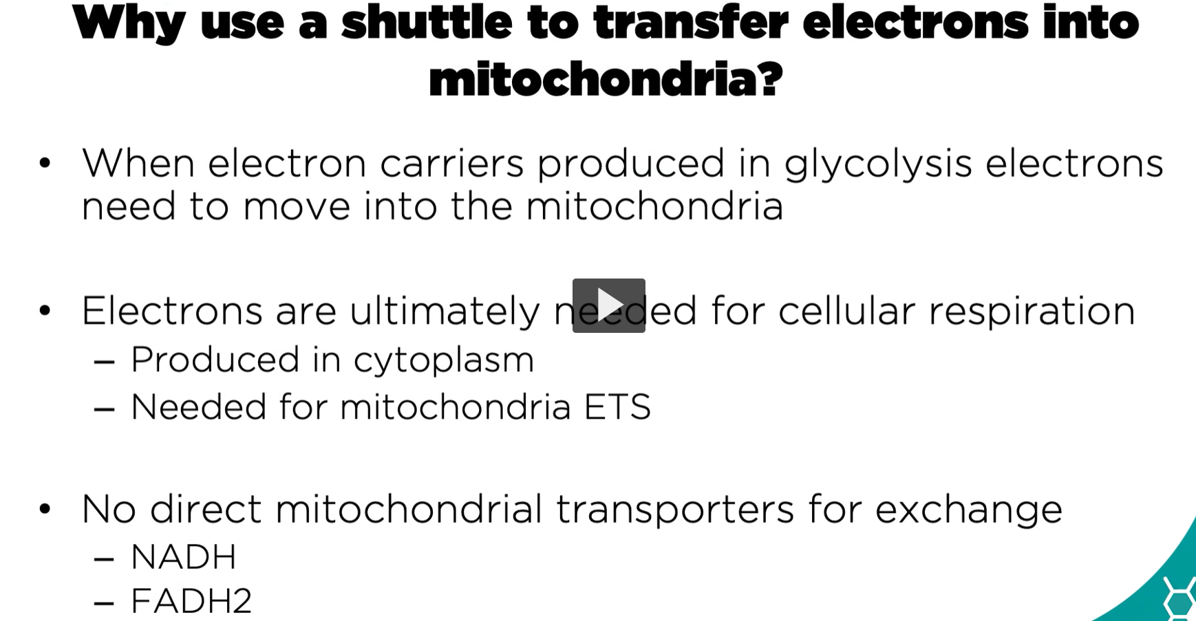 <p>why use the shuttle to transfer electrons? Here, we will explain how the nictotinamides in the reduced form or <strong>NADH</strong> that is <strong>formed during glycolysis</strong> needs to <strong>circumvent the transfer of electrons</strong> from the<strong> cytoplasm</strong> into the <strong>mitochondria.</strong></p><ol><li><p>when <strong>electron carriers are produced</strong> in the<strong> glycolysis</strong>, the<strong> reduced form of those electron carriers</strong> need to <strong>move the electrons now into the mitochondria.</strong></p></li><li><p>An important concept is that <strong>NADH</strong> that is <strong>produced in the cytoplasm</strong> <strong>CANNOT</strong> be <strong>transported directly into the mitochondri</strong>a.</p></li></ol><p>This is <strong>different </strong>and in<strong> contrast </strong>with th<strong>e NADH produced in the krebs cycle, </strong>which happens in the<strong> mitochondrial matrix.</strong></p><p><strong>-NADH from glycolysis cannot be transported directly into the mitochondria, but NADPH produced in the kreb’s cycle is <em>already</em> in the mitochondrial matrix. </strong></p><p><strong>Electrons</strong> are <strong>ultimately needed</strong> for <strong>cellular respiration</strong>, but <strong>produced</strong> in the <strong>cytoplasm</strong>, <strong>yet needed for mitochondrial electron transport chain system</strong>.</p><p>Therefore, <strong>those electrons cannot reach directly </strong>and <strong>use for the electron transport chain system.</strong></p><p>There is <strong>no direct mitochondrial transporters for the exchange, especially for the NADH</strong> or the <strong>FADH two production</strong></p>