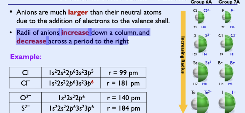 <ul><li><p>anions are much larger than their neutral atoms due to the addition of electrons to the valence shell</p><ul><li><p>Radii of anions increase down a column, and decrease across a period to the right</p></li></ul></li></ul><p></p>