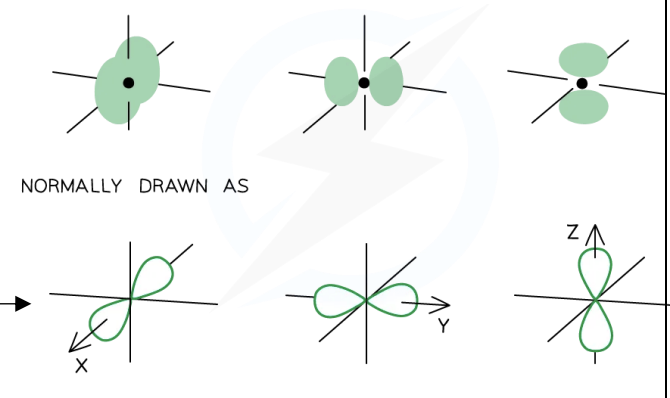 <p>p-orbital Shape</p>