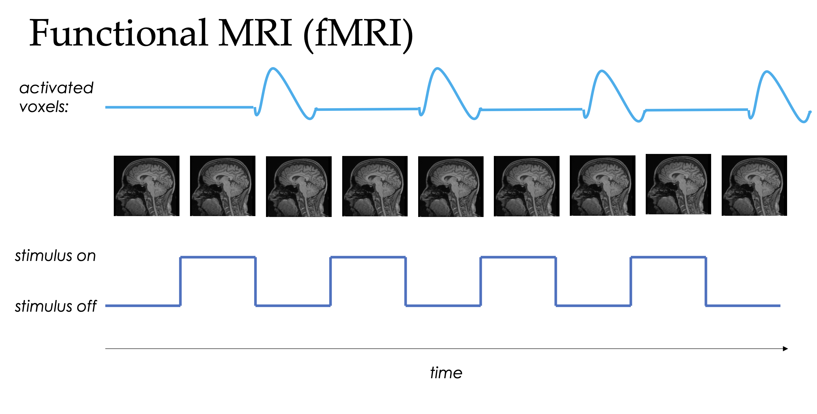 <ul><li><p>Model what you think signal would look like based on stimuli + expected hemodynamic responses → use model as predictor when looking at actual signals </p></li><li><p>Note change to signal is slightly delayed </p></li></ul><p></p>