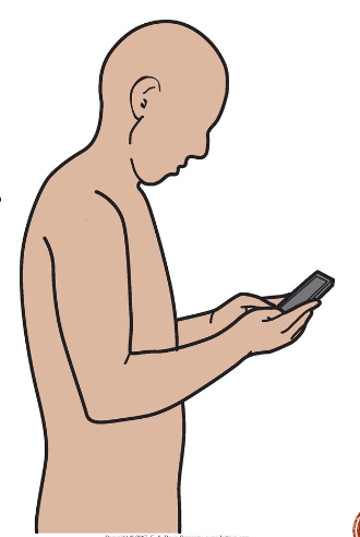 <p>Describe Posture</p>