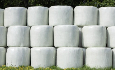 <ul><li><p>45-55% moisture</p></li><li><p>full stem</p></li><li><p>baled</p></li><li><p>wrapped in plastic within 12-24 hours</p></li><li><p>equipment cheaper than ensiling</p></li></ul><p></p>