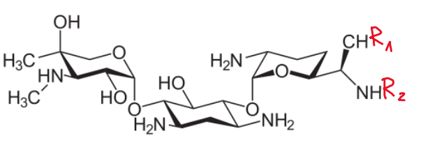 <p>Gentamycyna C1 R1 CH3; R2 CH3</p><p>Gentamycyna C2 R1 CH3; R2 H</p><p>Gentamycyna C1a R1 H; R2 H</p><p>lekiem jest mieszanina 3 leków </p>