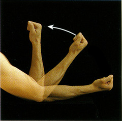 <p>identify the action</p>