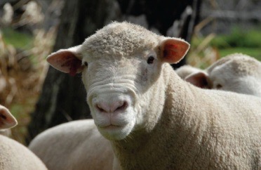 <img src="blob:null/07be61d7-6d31-44e8-ba16-84158edd0e95"><p></p>