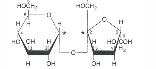 <p>nom de la molécules</p><p>caractéristiques, motifs</p>