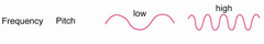 <p>The <strong>experience </strong>we have when we <strong>hear</strong>.</p>