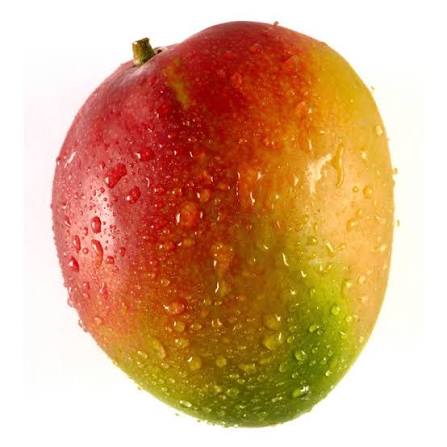 <p></p>