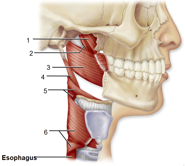 <p>2</p>