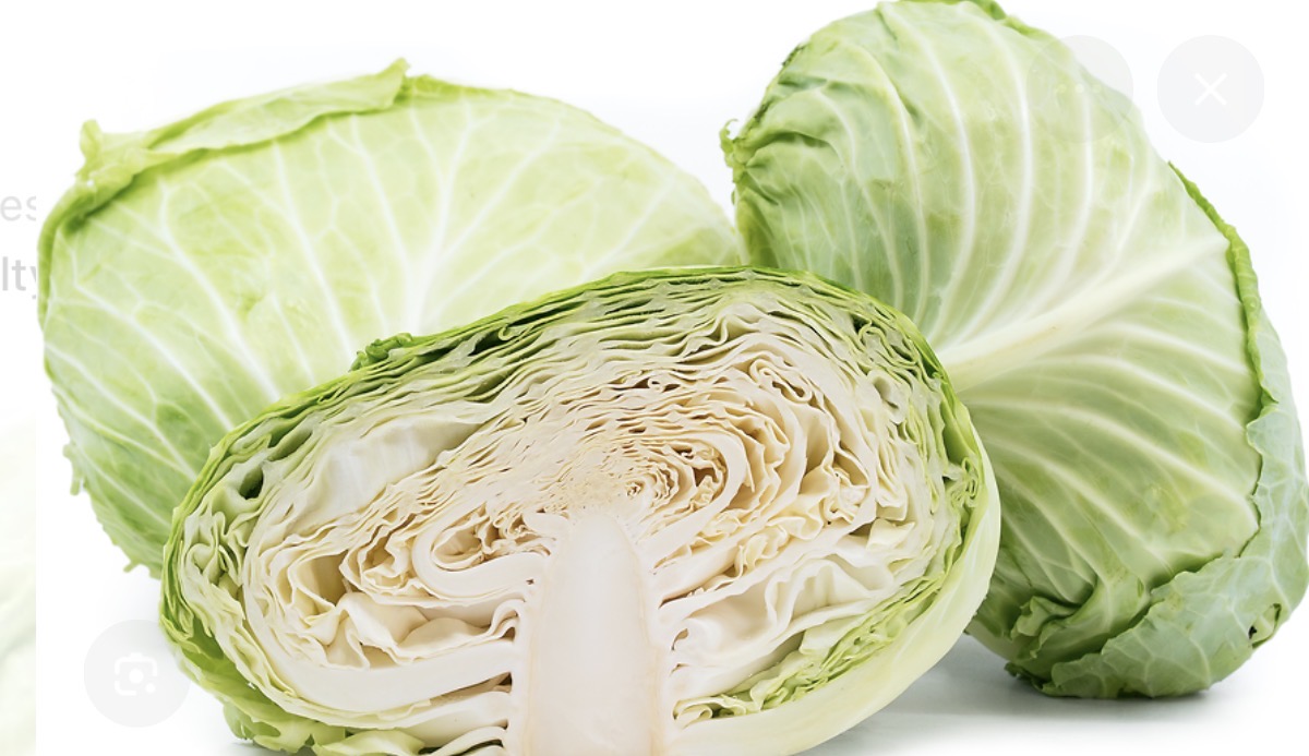 <p>Ko-le cabbage(long cabbage)</p>