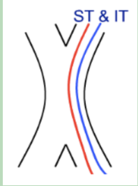 <p>Neurological Field Defects</p><p>The Optic Chiasm</p>
