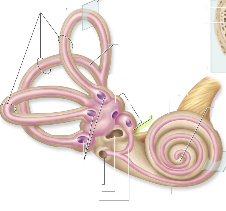 <p>what is this </p>