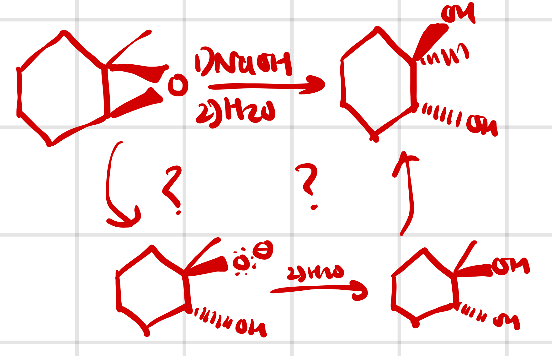 knowt flashcard image