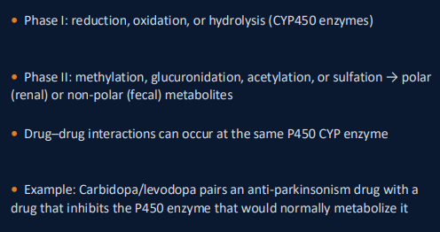 <ul><li><p><span style="background-color: transparent; font-family: "Times New Roman", serif;"><strong>Phase I:</strong> Uses <strong>CYP450 enzymes</strong> for oxidation, reduction, or hydrolysis. Think of this as "exposing" a functional group. </span>Prepares drug for further metabolism.</p></li><li><p><span style="background-color: transparent; font-family: "Times New Roman", serif;"><strong>Phase II:</strong> <strong>Conjugation</strong> reactions (e.g., glucuronidation, acetylation) that "attach" a large polar molecule to the drug. </span>Usually makes drug <strong>more water-soluble. </strong></p></li></ul><p>shout out Dr. Dyer </p>