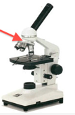 <p>What part of the Microscope is This? </p>