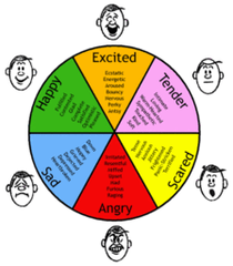 <p>- Such as fear, are<u><mark data-color="red" style="background-color: red; color: inherit;"> subjective reactions to experience that are associated with physiological and behavioral changes</mark></u>.</p>