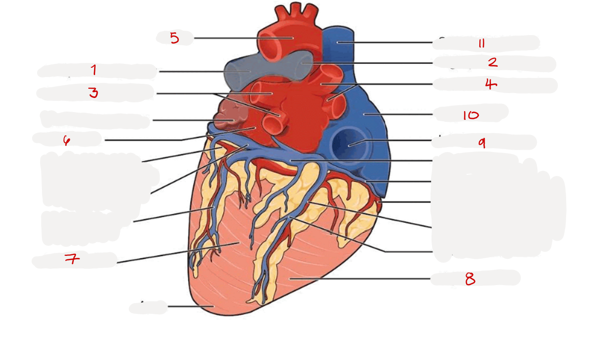 <p>3? </p>
