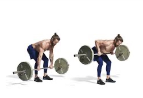 <p>Bent over row target muscle</p>