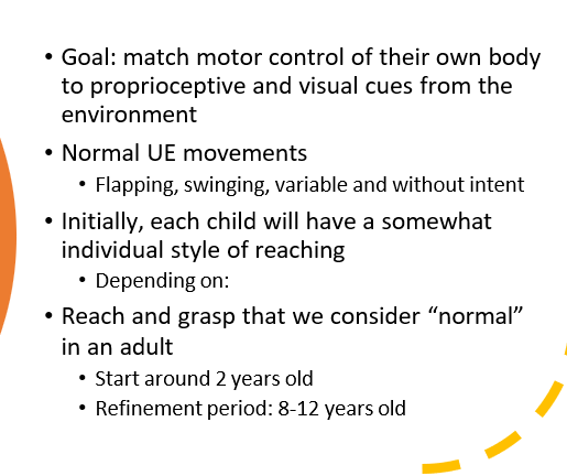 <p><span>proprioceptive and visual cues from the environment</span></p><p><span>Flapping, swinging, variable & w/out intent </span></p><p><span>Environment </span></p><p><span>2 y/o, 8-12 y/o</span></p>
