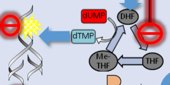 <p>Explain this</p>