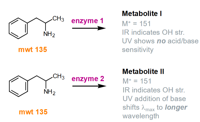 <ul><li><p>Phase I - hydroxylation happens in the side chain as there is no acid/base sensitivity</p></li><li><p>Phase II - hydroxylation happens in the benzene ring as there is acid/base sensitivity</p></li></ul><p></p>