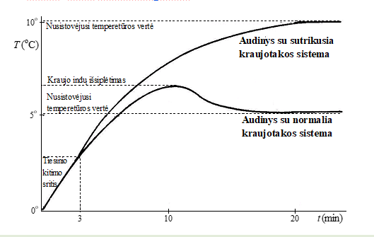 <p>1. Audinys su normalia kraujotaka </p><ul><li><p>Temperatūra <strong>iš pradžių kyla</strong></p></li><li><p>Vėliau <strong>sulėtėja ir stabilizuojasi</strong></p></li></ul><p></p><p>2. Audinys su sutrikusia kraujotaka </p><ul><li><p>Temperatūra kyla <strong>greičiau ir labiau</strong></p></li><li><p>Pasiekia <strong>aukštesnę ribą</strong></p></li></ul><p></p>