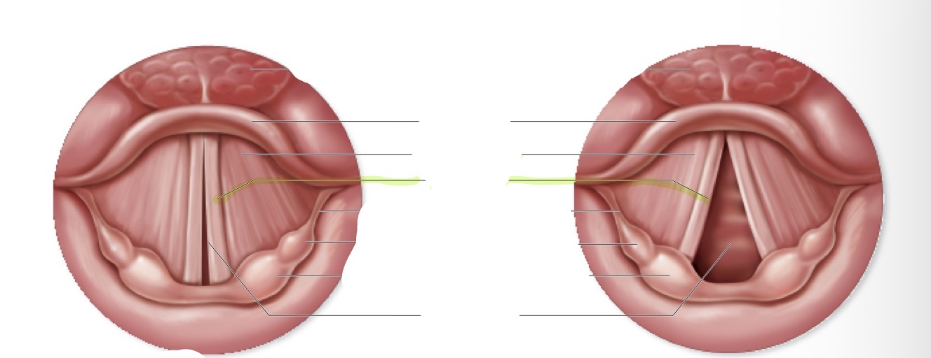 <p>what is this </p>