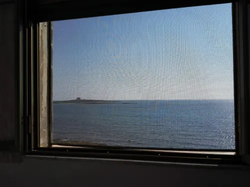 <p>Window</p>