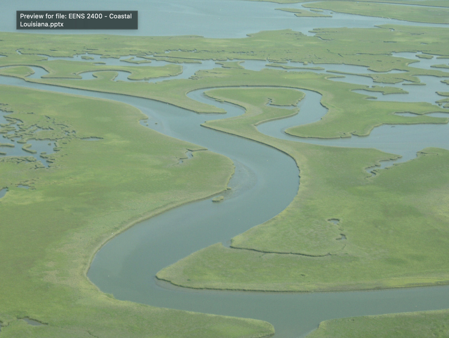 <ul><li><p>there is extreme wetland loss from canals dissecting delta plain </p><ul><li><p>saltwater intrusion, river can’t move back and forth</p></li><li><p><span style="background-color: transparent;">Widen over time and entire areas are lost</span></p></li><li><p><span style="background-color: transparent;">15,000 km of canals for oil and gas and artificial levees shut down sediment deposits </span></p></li><li><p><span style="background-color: transparent;">45 square kilometers per year</span></p></li></ul></li></ul><p></p>