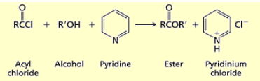 <p>you add an alcohol and pyridine (base to deprotonate the alcohol) R’O on alcohol replaces Cl. </p>